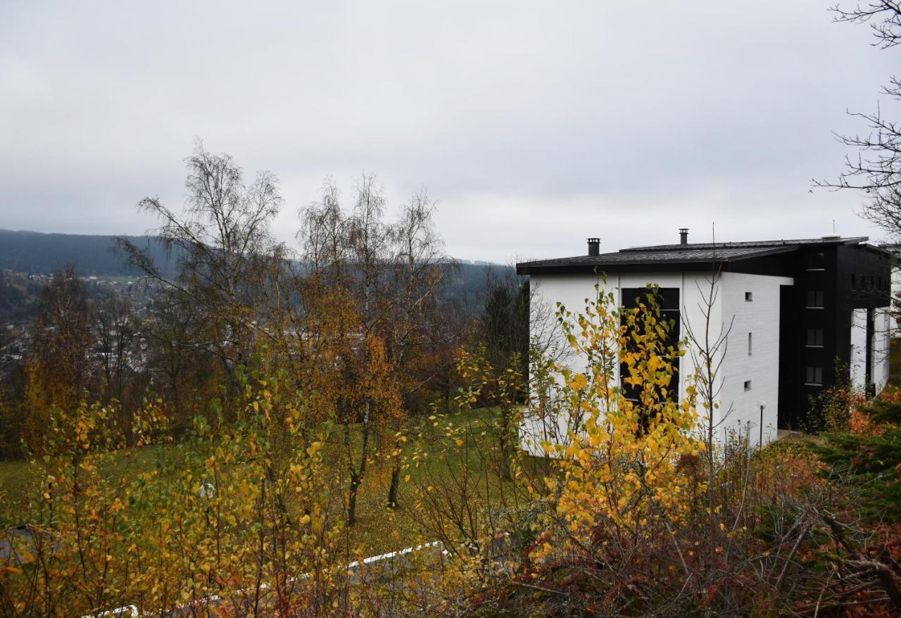 Appartement La Taniere : 4 Personnes à Gérardmer Extérieur photo