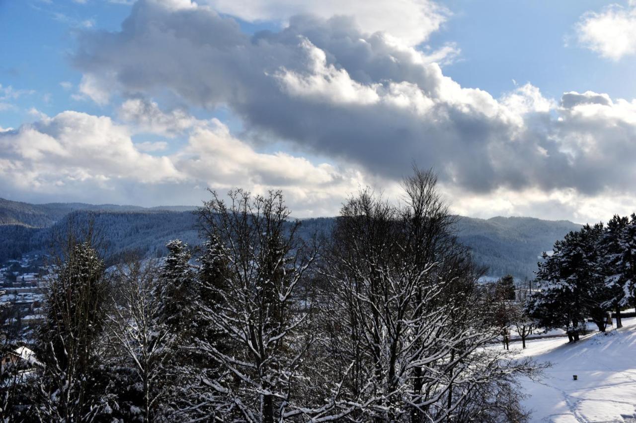 Appartement La Taniere : 4 Personnes à Gérardmer Extérieur photo
